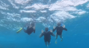 Underwater Eden: The Magic of Snorkeling in Sri Lanka’s Sunlit Seas