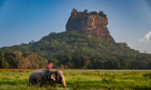 Mahout riding his elephant, Sigiriya Rock on the background, Central Province, Sri Lanka