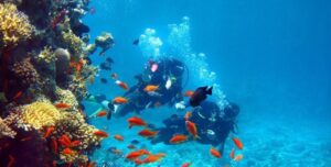 Master the Deep: Professional PADI Dive Courses in Sri Lanka