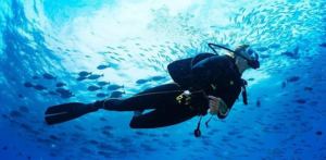 The Ultimate Island Adventure: Dive Courses Of Sri Lanka Diving Tours