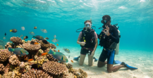 Unlock a New World: Your First Breath Underwater in Sri Lanka