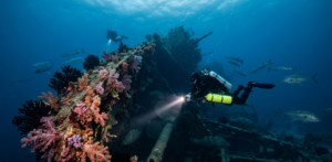 The Ghost Ships of the Indian Ocean: A Guide to Wreck Diving Sri Lanka